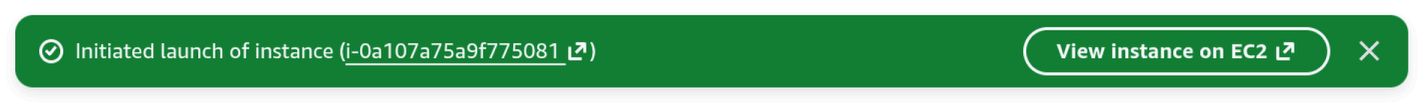 Green banner showing 'Initiated launch of instance' with the instance ID and a 'View instance on EC2' button.